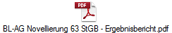 BL-AG Novellierung 63 StGB - Ergebnisbericht.pdf