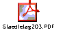 Staedtetag203.PDF