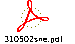 310502sne.pdf