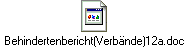 Behindertenbericht(Verbände)12a.doc
